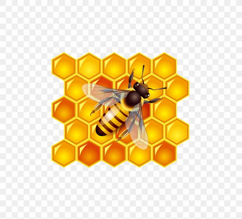 Honey Bee Honey Bee Clip Art, PNG, 4091x3708px, Bee, Arthropod, Honey, Honey Bee, Honey Flow Download Free