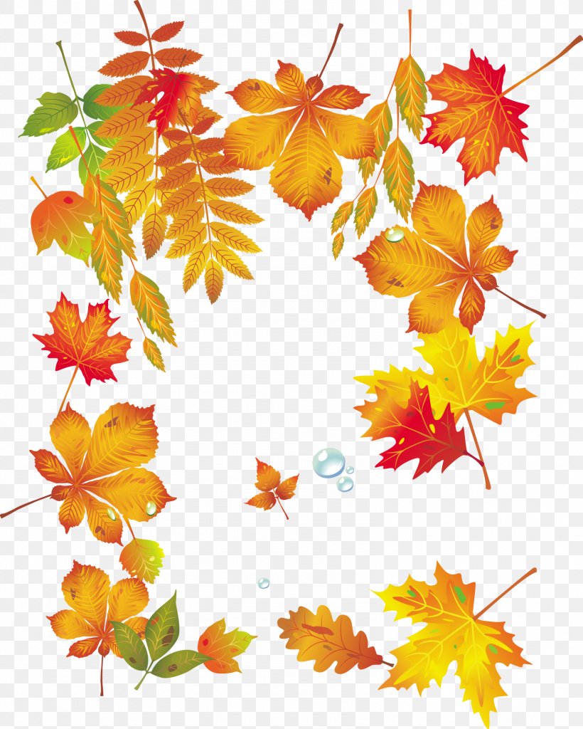 Maple Leaf Autumn, PNG, 1586x1982px, Maple Leaf, Autumn, Autumn Leaves, Branch, Deciduous Download Free