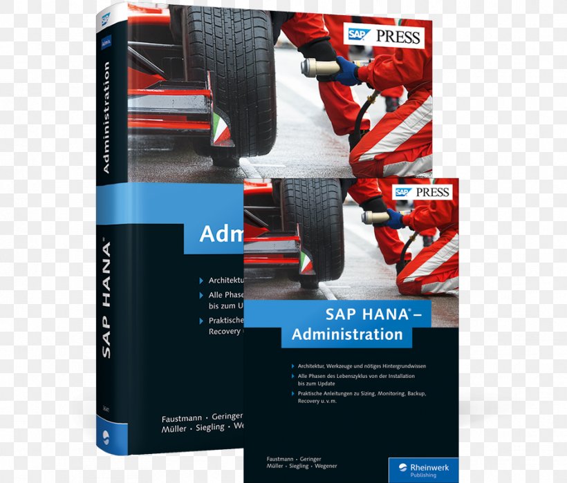 SAP HANA, PNG, 938x800px, Sap Hana An Introduction, Abap, Brand, Database, Publishing Download Free