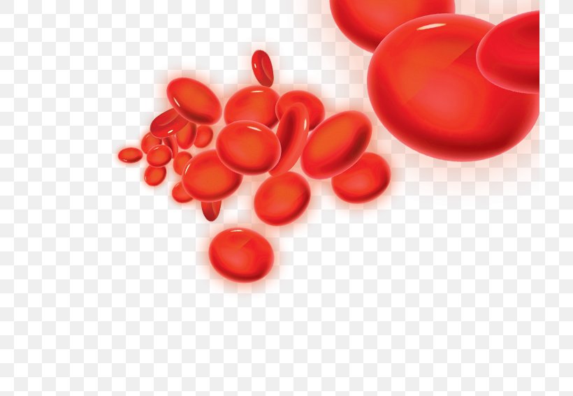 Heart Hemodynamics Blood Pressure Vascular Resistance, PNG, 724x567px, Heart, Aorta, Artery, Bleeding, Blood Download Free