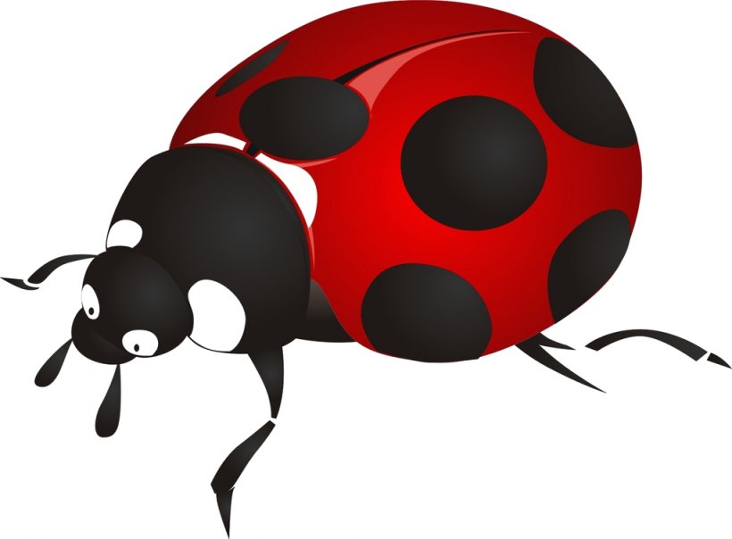 Ladybird Beetle Coleoptera: Cerambycidae Clip Art, PNG, 1024x755px, Ladybird Beetle, Arthropod, Asian Longhorned Beetle, Beetle, Cartoon Download Free