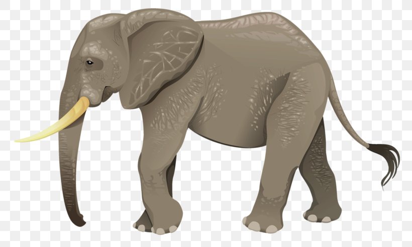 Turtle Animal Wildlife Elephant, PNG, 800x492px, Turtle, African Elephant, Animal, Drawing, Elephant Download Free