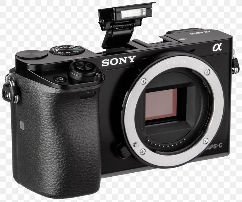 Digital SLR Mirrorless Interchangeable-lens Camera Camera Lens 索尼, PNG, 1200x1006px, Digital Slr, Active Pixel Sensor, Autofocus, Camera, Camera Accessory Download Free