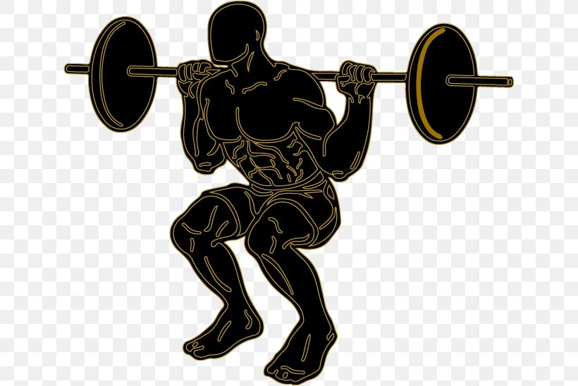 Fitness Centre Squat Exercise Physical Fitness Silhouette, PNG, 640x548px, Fitness Centre, Barbell, Brass Instrument, Crossfit, Crunch Download Free