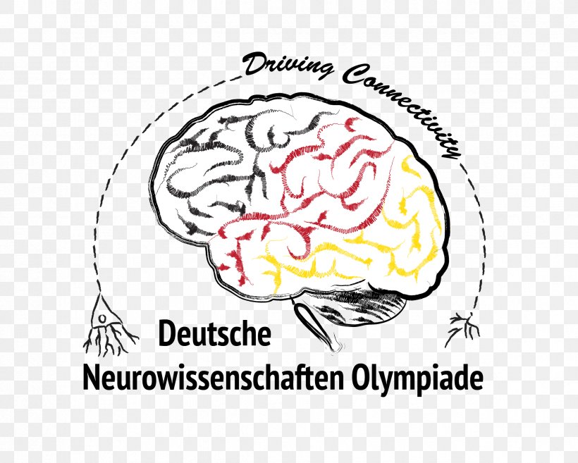 Heinrich-Heine-Gymnasium Deutsche Neurowissenschaften-Olympiade Neuroscience International Brain Bee Learning, PNG, 2372x1903px, Watercolor, Cartoon, Flower, Frame, Heart Download Free