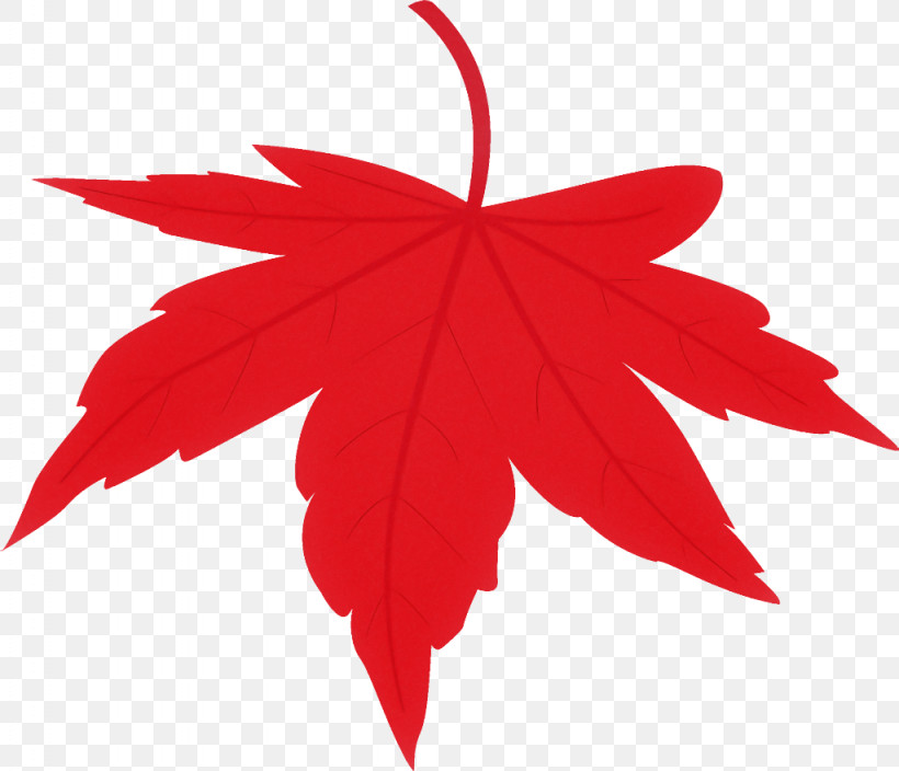 Maple Leaf Fallen Leaf Dead Leaf, PNG, 1024x880px, Maple Leaf, Autumn Leaf, Black Maple, Dead Leaf, Fallen Leaf Download Free