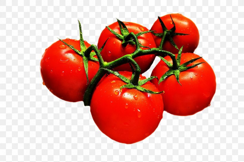 Cherry Tomato Dal Vegetable Fruit Food, PNG, 1200x795px, Cherry Tomato, Acerola, Acerola Family, Apple, Bush Tomato Download Free
