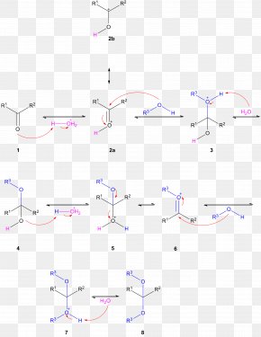 Hemiacetal Dean–Stark Apparatus Functional Group Orthoester, PNG ...