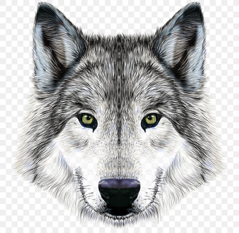 Dog Arctic Wolf Mexican Wolf Illustration, PNG, 757x800px, Dog, Animal, Arctic Wolf, Canis Lupus Tundrarum, Carnivoran Download Free