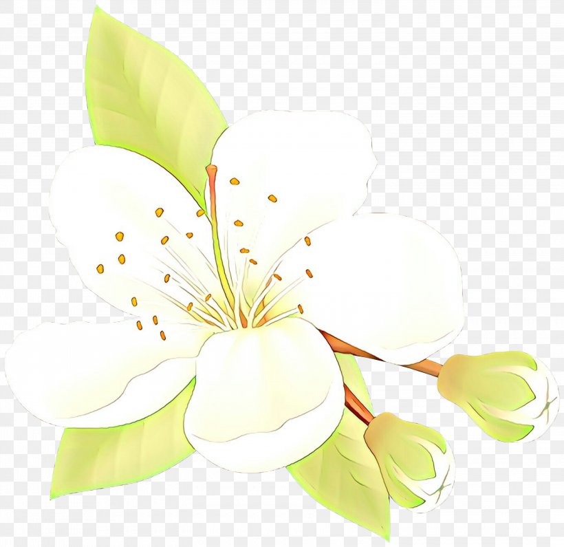 Floral Design Cut Flowers Plant Stem Petal, PNG, 3000x2912px, Floral Design, Blossom, Botany, Branch, Cut Flowers Download Free
