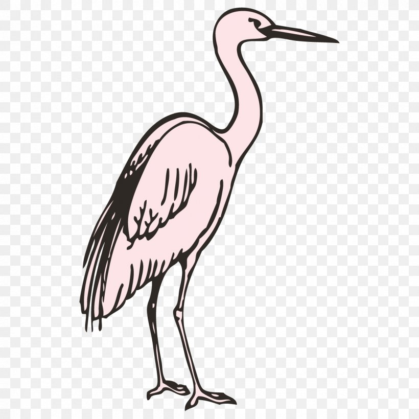Pelecaniformes Bird Stork Beak Clip Art, PNG, 1200x1200px, Pelecaniformes, Animal, Artwork, Beak, Bird Download Free