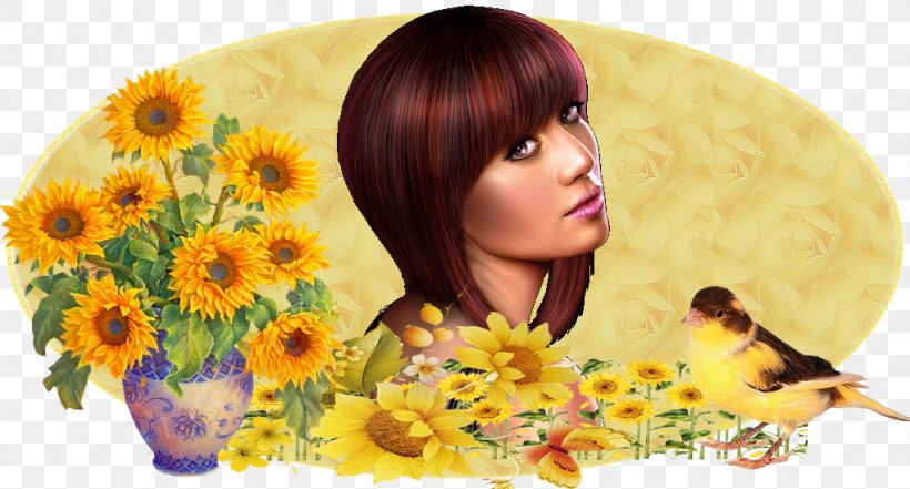 Common Sunflower Floral Design Transvaal Daisy Hair Coloring, PNG, 1020x549px, Common Sunflower, Animal, Black Hair, Book, Brown Hair Download Free