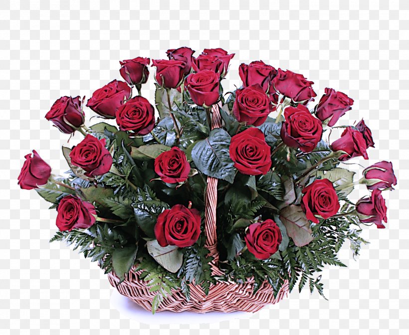 Garden Roses, PNG, 1500x1230px, Flower, Bouquet, Cut Flowers, Flowering Plant, Garden Roses Download Free