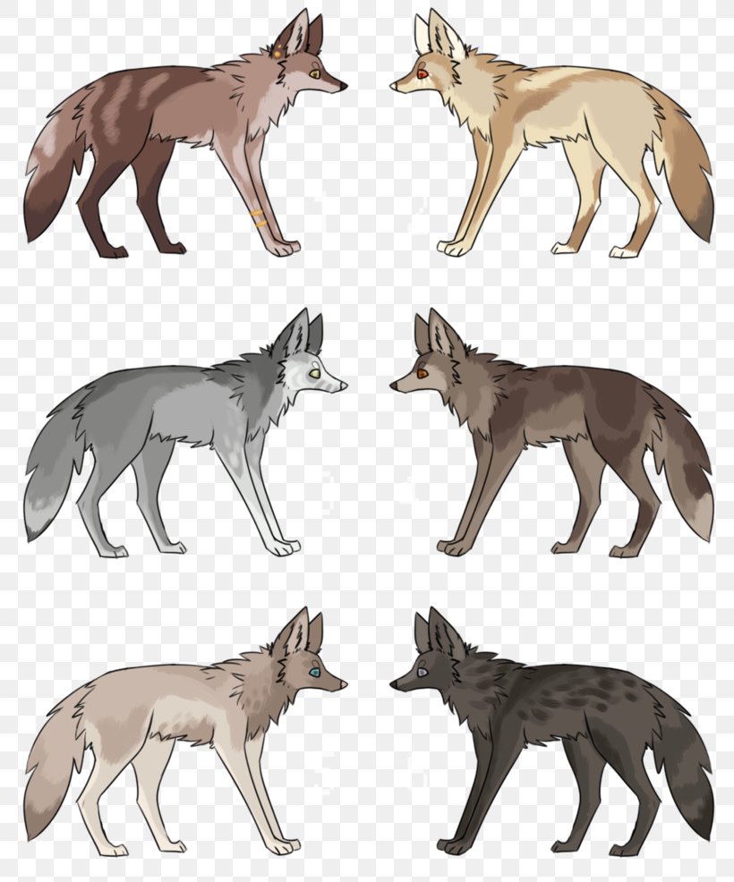 Red Fox Gray Wolf Coyote Jackal Fauna, PNG, 811x986px, Red Fox, Animal, Carnivoran, Coyote, Dog Like Mammal Download Free
