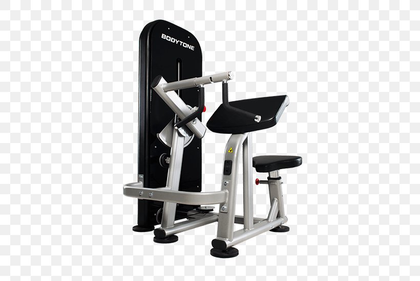 Biceps Triceps Brachii Muscle Bench Strength Training Elliptical Trainers, PNG, 800x550px, Biceps, Bench, Biceps Curl, Chair, Devine Fitness Equipment Download Free