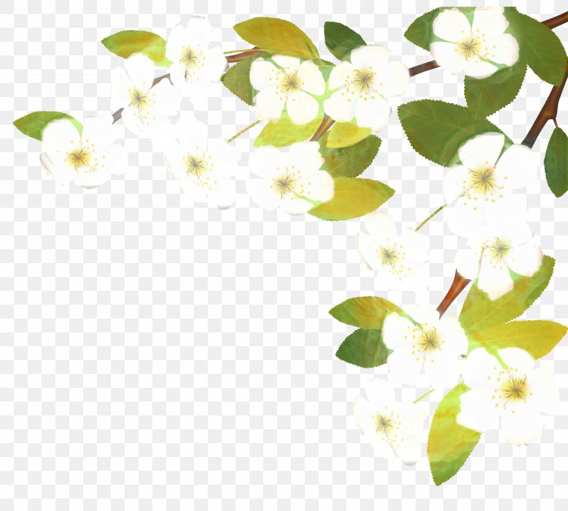 Date Tree Leaf, PNG, 2998x2701px, Pniewy, Birthday, Branch, Calendar Date, Danganronpa Download Free