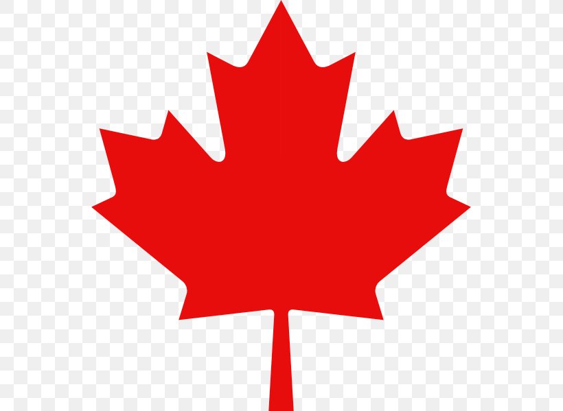Flag Of Canada Maple Leaf Clip Art, PNG, 553x599px, Canada, Drawing, Flag Of Canada, Flower, Flowering Plant Download Free