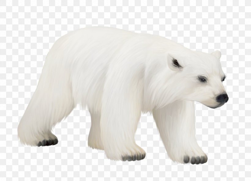 Polar Bear American Black Bear Clip Art, PNG, 2384x1724px, Polar Bear ...