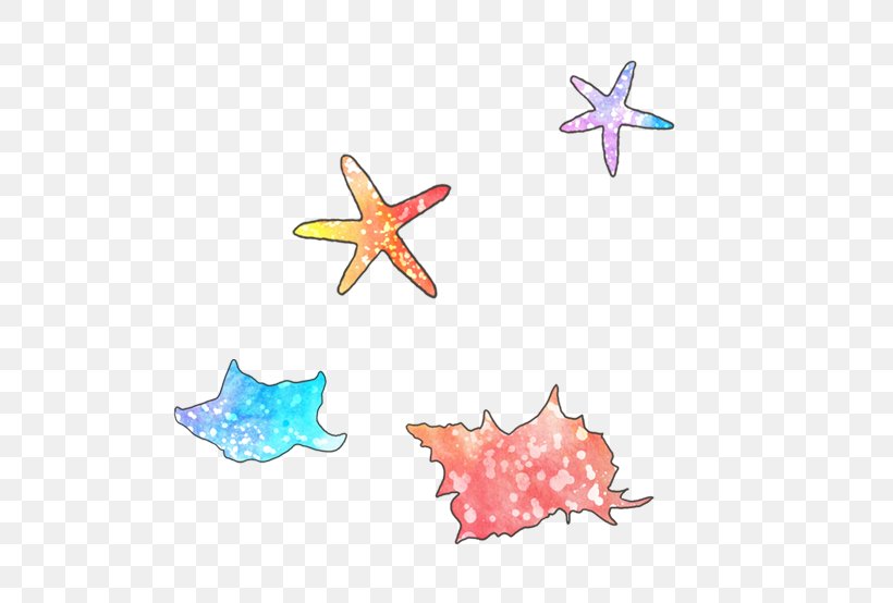 Starfish Pisaster Ochraceus Clip Art, PNG, 582x554px, Starfish, Cartoon, Drawing, Invertebrate, Orange Download Free