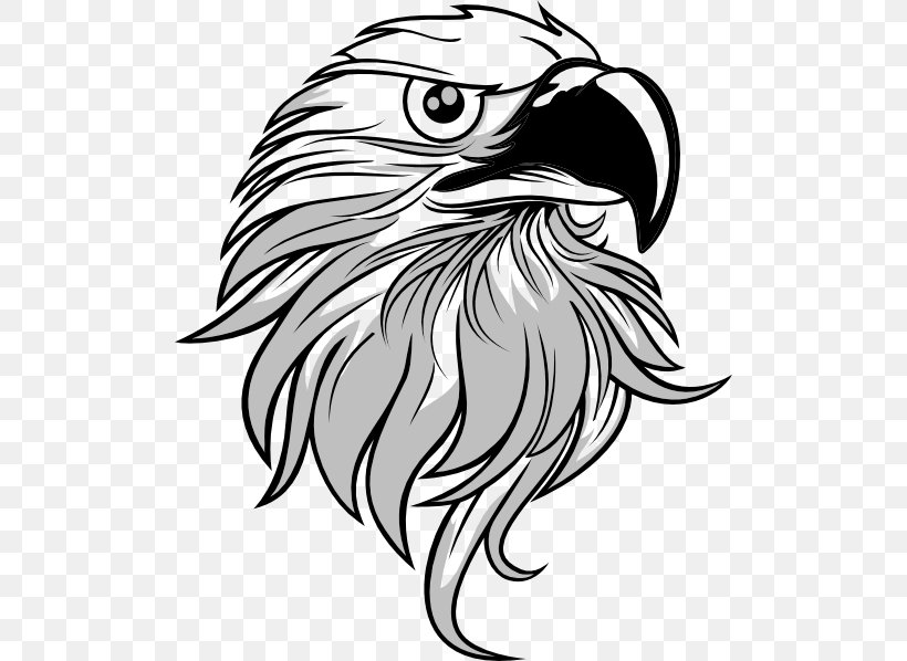 Bald Eagle Clip Art, PNG, 504x598px, Bald Eagle, Art, Beak, Bird, Bird Of Prey Download Free