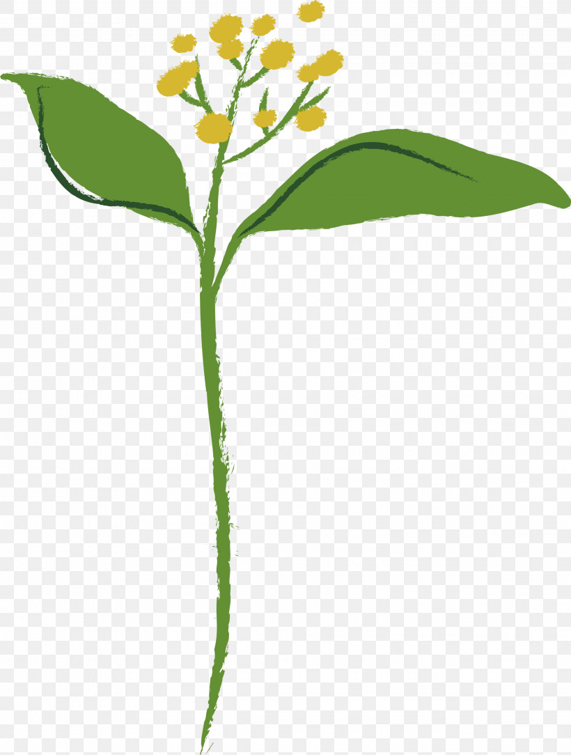Flower Alpine Forget-me-not Plant Leaf Plant Stem, PNG, 2268x3000px, Flower, Alpine Forgetmenot, Leaf, Milkweed, Pedicel Download Free