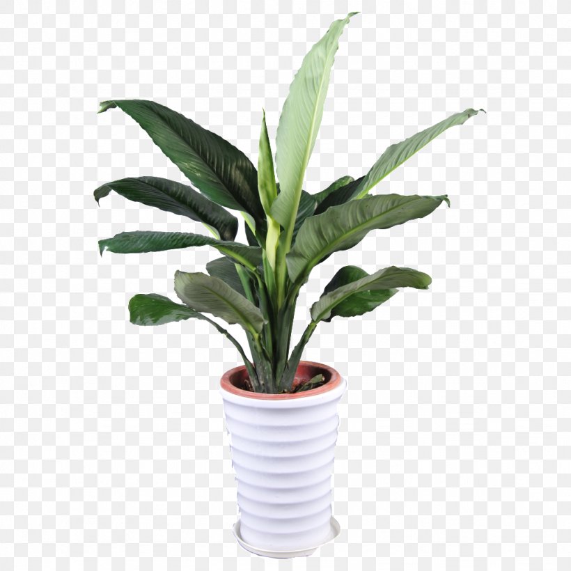 Flowerpot Goods Product Shop, PNG, 1024x1024px, Flowerpot, Goods, Gratis, Houseplant, Leaf Download Free