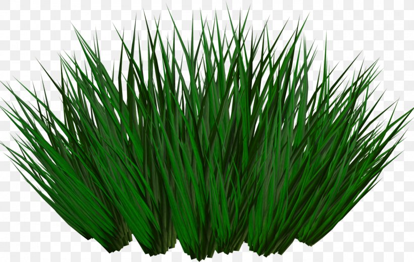 Image Copyright Download Photograph, PNG, 1280x812px, 3d Computer Graphics, Copyright, Artificial Turf, Chives, Grass Download Free
