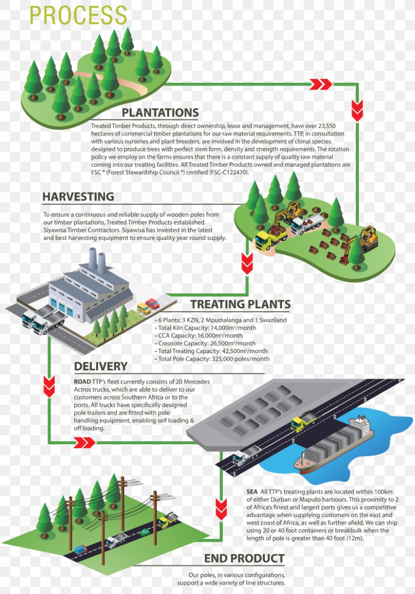 Lumber Hardwood Timber Production Logging, PNG, 842x1206px, Lumber, Break Bulk Cargo, Business Process Mapping, Grass, Harvest Download Free