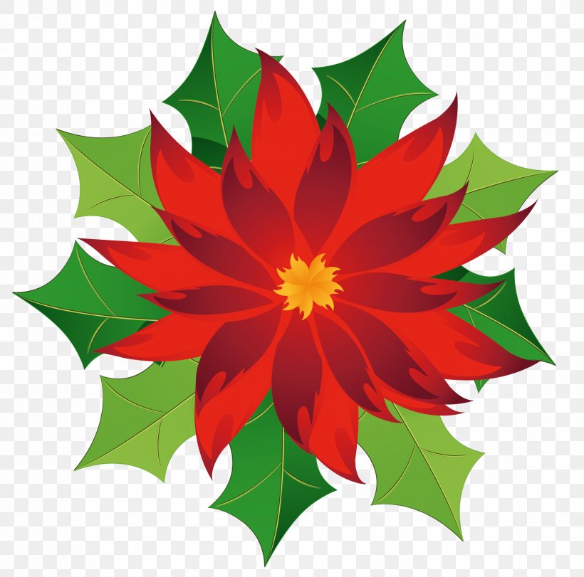 Poinsettia Free Content Clip Art, PNG, 1807x1788px, Poinsettia, Blog, Christmas, Dahlia, Flora Download Free