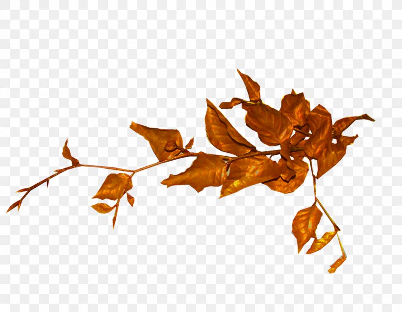 Tree Shrub Leaf Clip Art, PNG, 1800x1400px, Tree, Autumn, Branch, Flower, Leaf Download Free