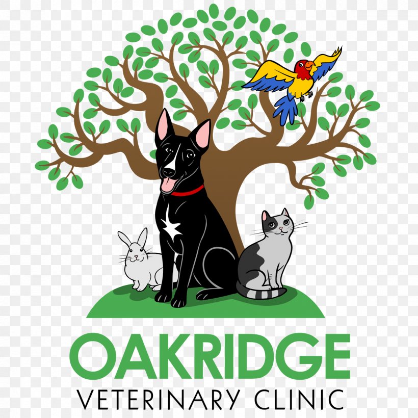 Cat Dog Oakridge Veterinary Clinic ARCHVET Animal Hospital Sunnyvale Veterinary Clinic, PNG, 1200x1200px, Cat, Antler, Artwork, Branch, California Download Free