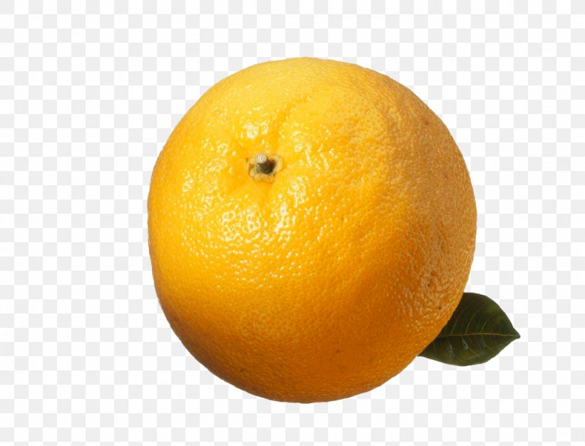 Clementine Citrus Junos Mandarin Orange Grapefruit Citron, PNG, 1024x782px, Clementine, Bitter Orange, Citric Acid, Citron, Citrus Download Free