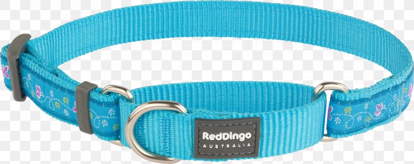 Dingo Dog Collar Martingale, PNG, 3000x1194px, Dingo, Aqua, Azure, Blue, Cat Download Free