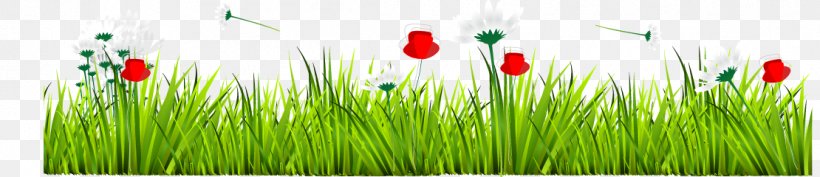 Euclidean Vector GRASS GIS Herbaceous Plant, PNG, 1110x240px, Grass Gis, Animation, Commodity, Euclidean Space, Grass Download Free