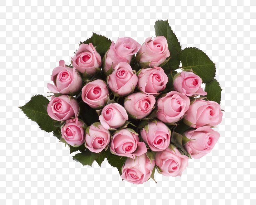 Garden Roses Cabbage Rose Rema 1000 Skårer Cut Flowers, PNG, 800x658px, Garden Roses, Artificial Flower, Cabbage Rose, Cut Flowers, Damask Rose Download Free