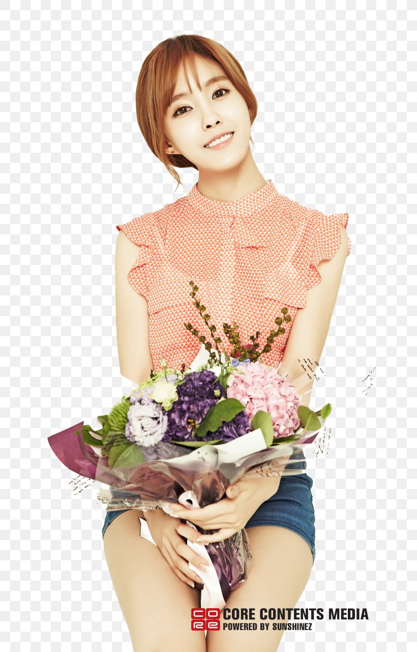 Hyomin T-ara Floral Design Photography Art, PNG, 720x1280px, Watercolor, Cartoon, Flower, Frame, Heart Download Free