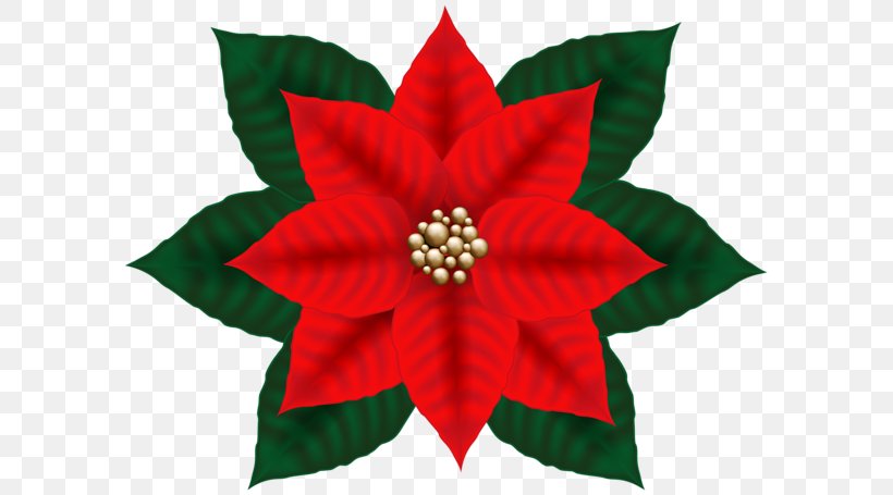 Clip Art Christmas Day Image Poinsettia, PNG, 600x455px, Christmas Day, Art, Christmas Decoration, Christmas Ornament, Christmas Tree Download Free