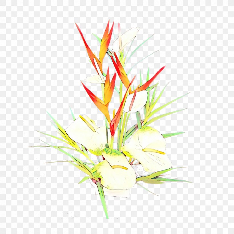 Floral Design Cut Flowers Plant Stem Leaf, PNG, 1200x1200px, Floral Design, Anthurium, Aquarium, Botany, Cut Flowers Download Free