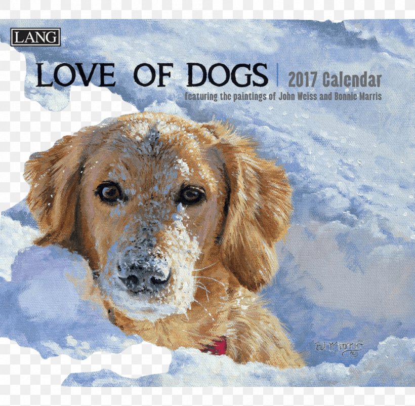 Golden Retriever Puppy Dog Breed Companion Dog, PNG, 999x978px, Golden Retriever, Breed, Calendar, Carnivoran, Companion Dog Download Free