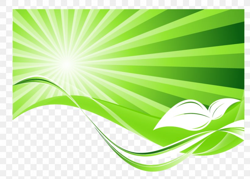 Green Flash Natural Environment Euclidean Vector, PNG, 1005x723px, Green Flash, Grass, Green, Leaf, Natural Environment Download Free
