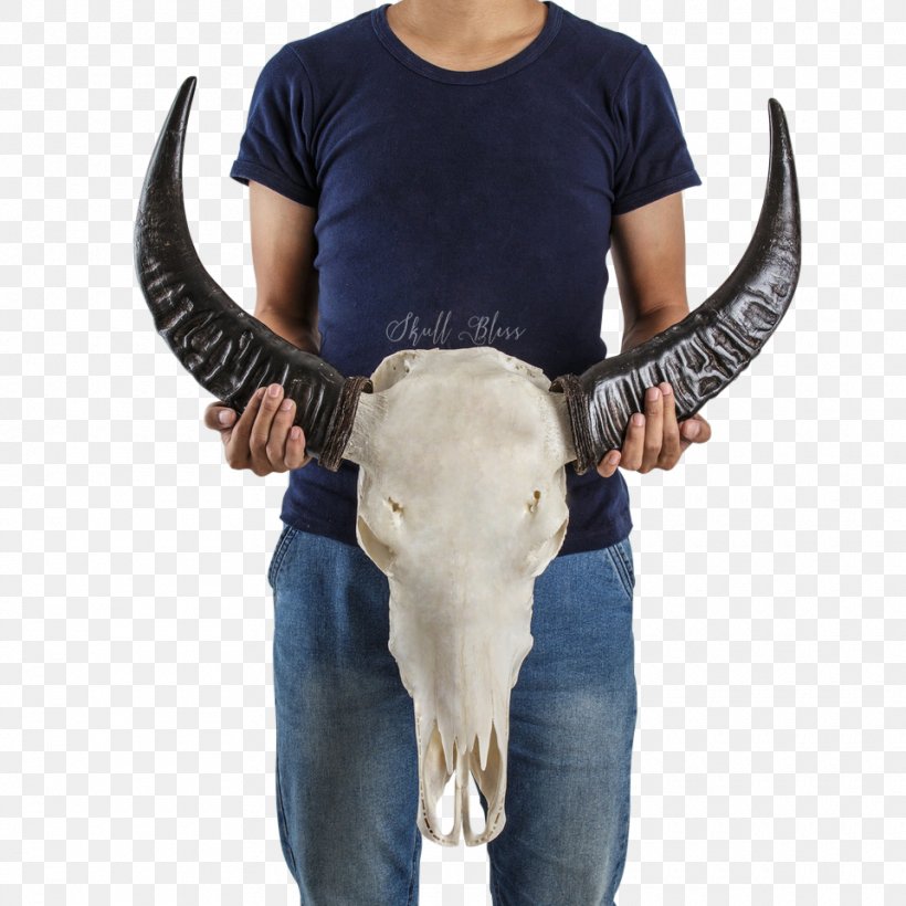 Horn Cattle Skull Animal Skeleton, PNG, 960x960px, Horn, Animal, Cattle, Cattle Like Mammal, Human Skeleton Download Free