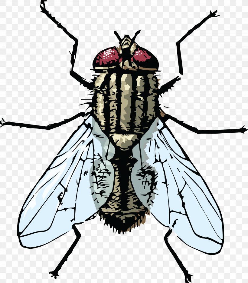 Housefly Clip Art, PNG, 4000x4560px, Housefly, Arthropod, Artwork, Black And White, Fictional Character Download Free