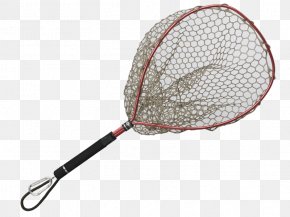 Tennis - Rackets Tennis Product Design Rakieta Tenisowa PNG