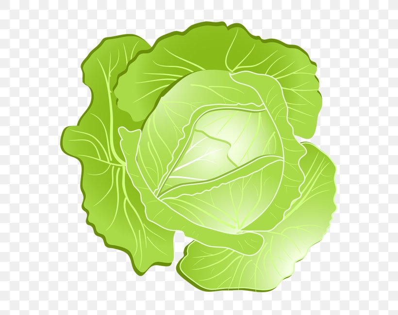Savoy Cabbage Kohlrabi Clip Art, PNG, 650x650px, Cabbage, Brassica Oleracea, Carrot, Cartoon, Chinese Cabbage Download Free