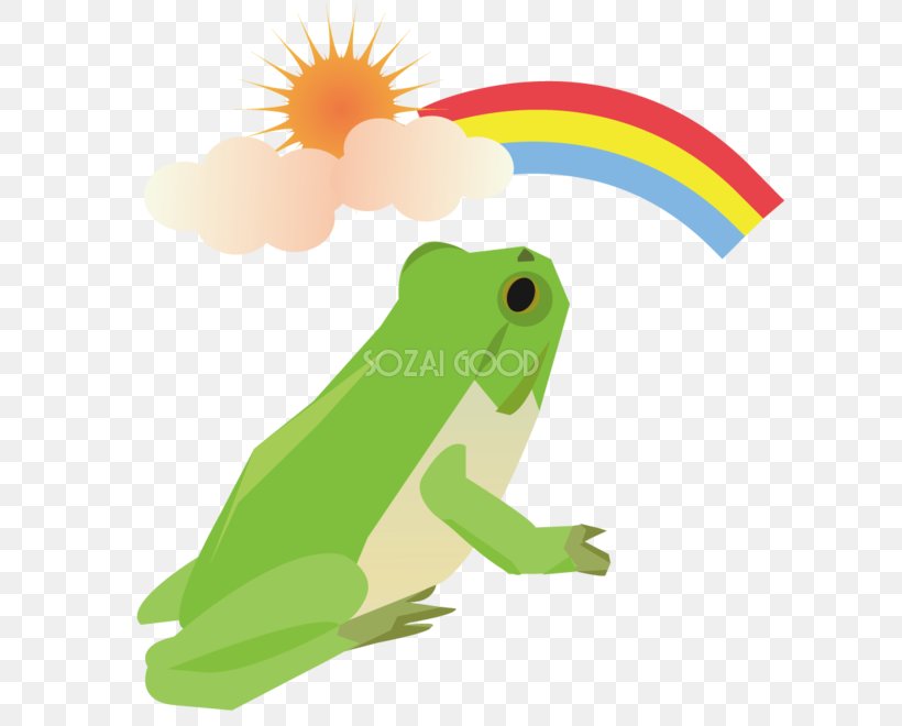 Tree Frog Illustration Clip Art, PNG, 660x660px, Frog, Amphibian, Body, Chartreuse, Face Download Free