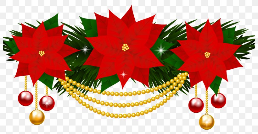 Clip Art Christmas Poinsettia Openclipart Image, PNG, 800x427px, Poinsettia, Christmas, Christmas Day, Christmas Decoration, Christmas Ornament Download Free