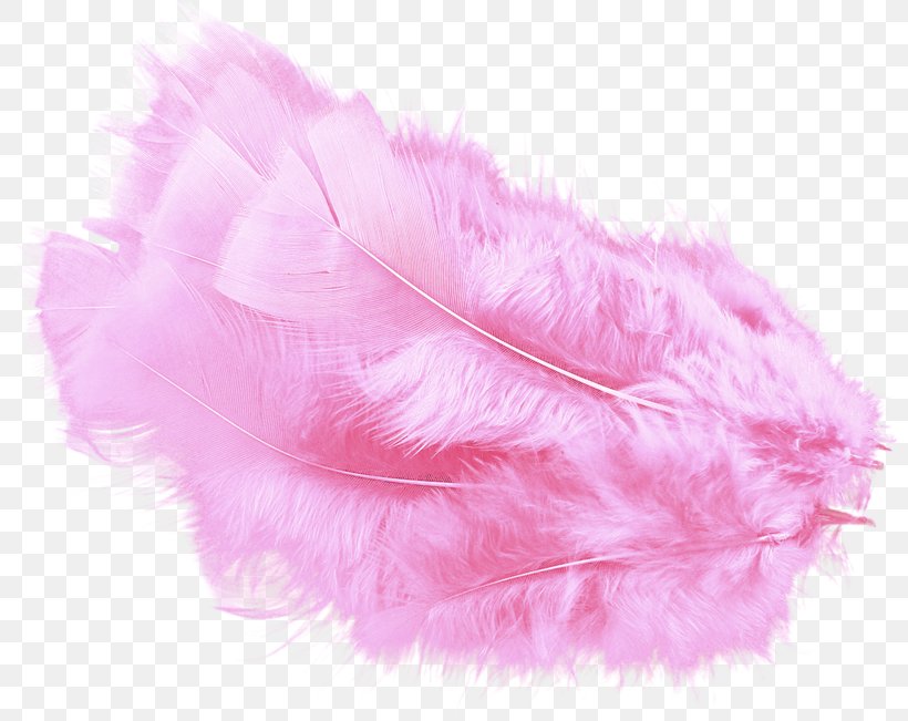 Feather Boa Pink, PNG, 800x651px, Feather, Angel Wing, Bulletin Board System, Feather Boa, Feathered Hair Download Free