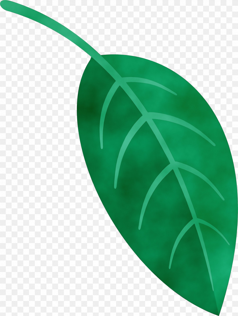 Leaf Green Plant Structure Science Plants, PNG, 2475x3297px, Leaf, Biology, Green, Paint, Plant Structure Download Free