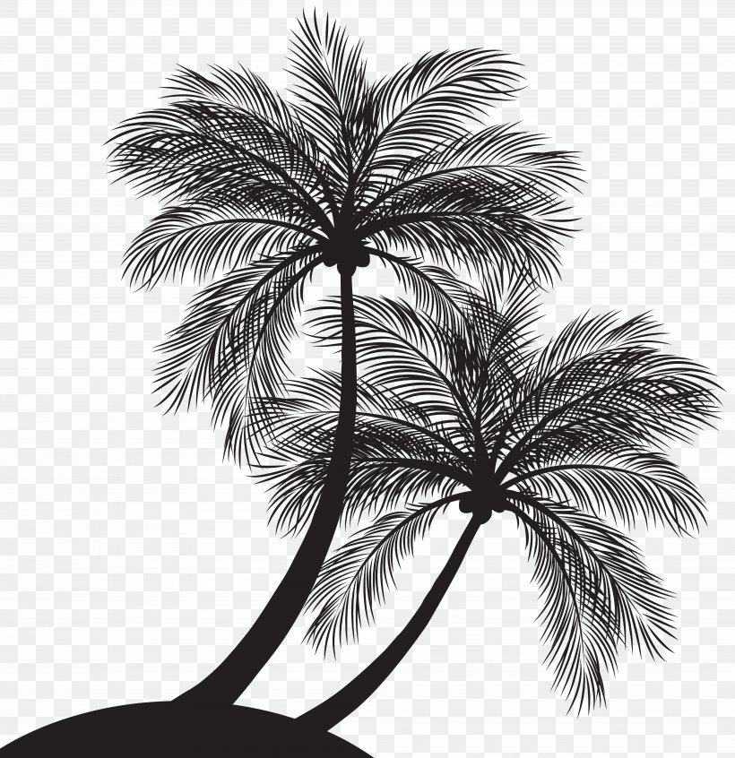 Palm Trees Clip Art Silhouette Image Vector Graphics, PNG, 7747x8000px, Palm Trees, Arecales, Black And White, Borassus Flabellifer, Branch Download Free