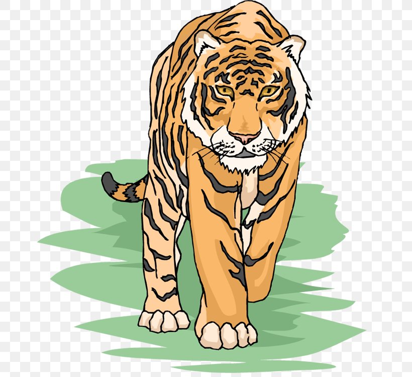 Siberian Tiger Bengal Tiger Free Content Clip Art, PNG, 671x750px, Siberian Tiger, Bengal Tiger, Big Cats, Carnivoran, Cat Like Mammal Download Free